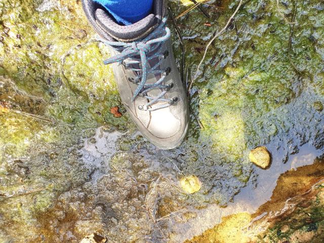 Intuïtieve leermomenten en misstappen. 